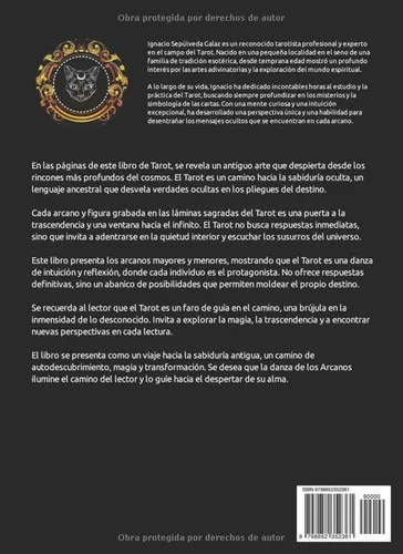 Vista 2 de MÁS ALLÁ DE LAS CARTAS EL CAMINO DEL TAROTISTA EXPERTO TAROT PROFESIONAL SOLO VERTICAL (Spanish Edition)