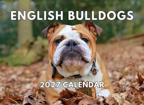 Vista 88 de Calendario mensual de pared Airedale Terrier Dog 2027
