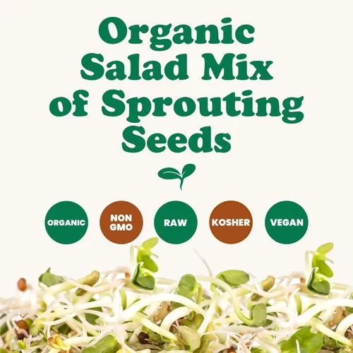 Vista 4 de Mezcla de ensalada orgánica de semillas germinantes, 10 libras, brócoli sin OMG, rábano, trébol, alfalfa. Rica tasa de germinación, no irradiada