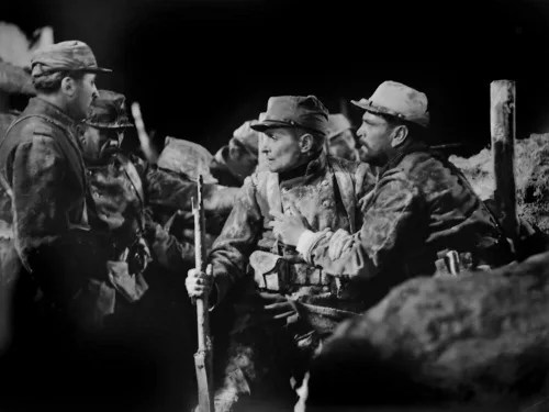 Vista 3 de Cruces de madera (1932) (Les Croix de bois) FORMAT, PAL, Reg.2 Import - Francia