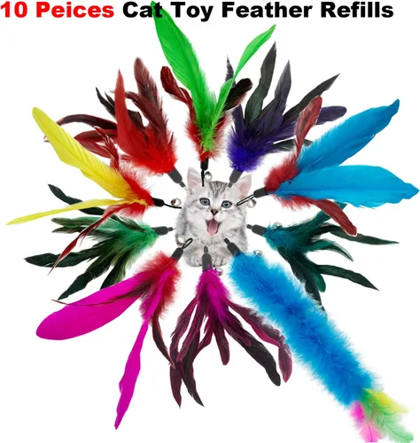 Vista 3 de CATENESS Recambios de juguetes de plumas para gatos, 10 piezas de repuesto para gatos