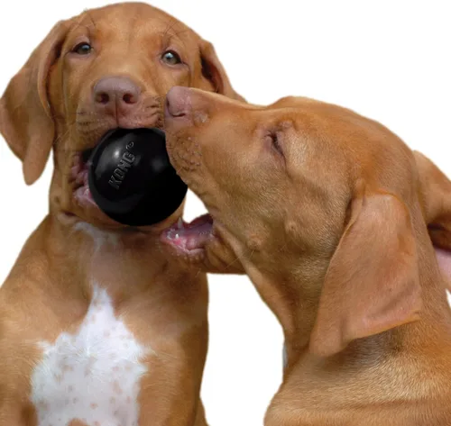 Vista 9 de KONG Bola extrema con agujero – Juguete de búsqueda – Juguete duradero para perros para entrenamiento, tiempo de juego interactivo y más – Pelota