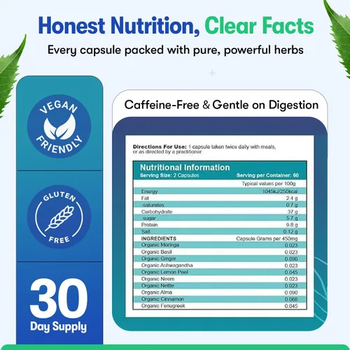 Vista 6 de Zyzven Naturals Suplemento de apoyo de azúcar en la sangre, fórmula de apoyo a la glucosa a base de hierbas con moringa, canela, fenogreco, jengibre