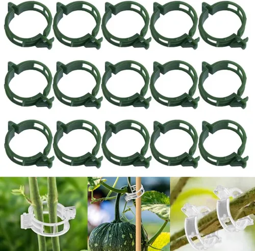 Vista 8 de Clip de fijación de planta engrosado 100 piezas, 2025 nuevo verano clips de fijación de plantas para tomate, uva, vid, vegetales, actualización