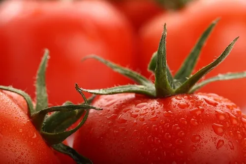 Vista 2 de Bobcat - Semillas de tomate híbridas - Tomates hermosos y firmes de gran sabor (10 semillas)
