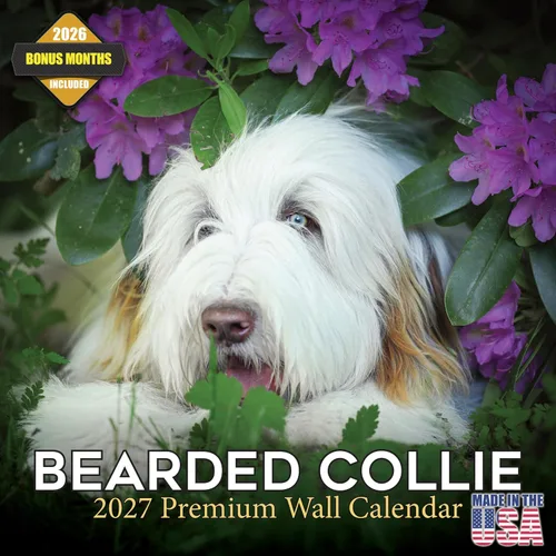 Vista 147 de Calendario de Lebrel Afgano 2025 2026, calendario mensual de pared de raza canina, 12" x 18" abierto, papel grueso sin traspaso, ideal para regalo