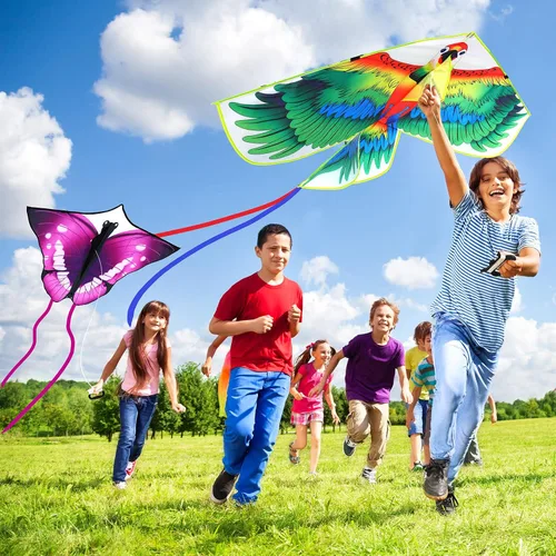 Vista 5 de Leitee Paquete de 6 cometas grandes para niños y adultos, cometa de mariposa para niños de 4 a 8 a 12 años, libélula, búho, loro, águila, pez