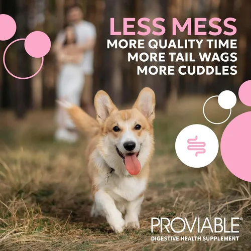 Vista 2 de Nutramax Probióticos Proviable para perros, Suplemento diario de salud digestiva con múltiples cepas de bacterias, probióticos para perros más