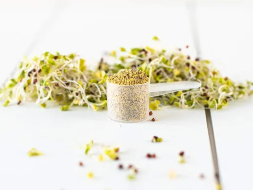 Vista 9 de KOYAH - Polvo orgánico de brotes de brócoli de Estados Unidos (1 cucharada = brotes de 1/4 taza): 36 porciones, liofilizado, probado para mirosinasa