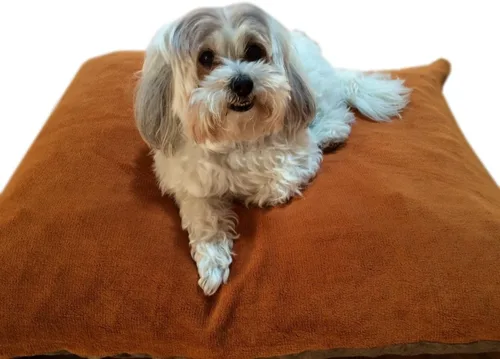 Vista 12 de Durable Comfort - Cama de espuma viscoelástica para perros con forro impermeable y funda externa para perros S, M, L, juego completo