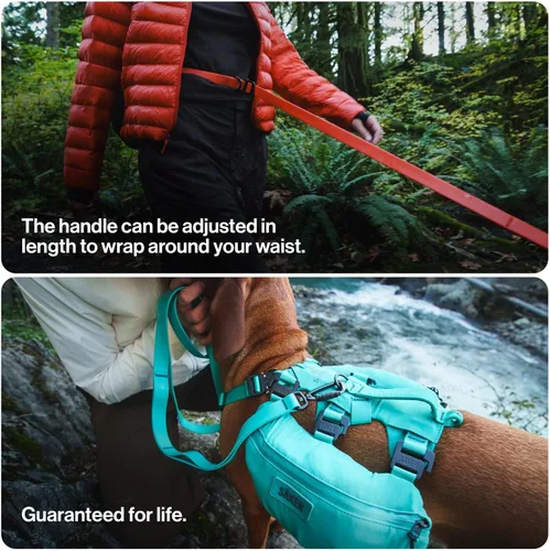 Vista 6 de Säker Kelp™ Correa Impermeable para Perros – Resistente, A Prueba de Olores, Correa para Perros Ajustable de 4 a 6 pies de Largo con Mosquetón