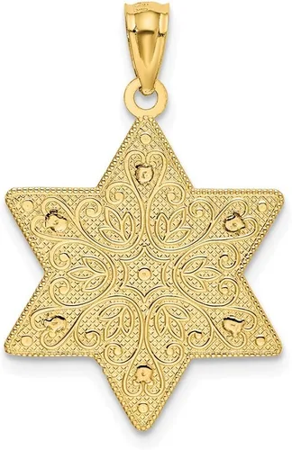 Vista 3 de Colgante de estrella de David de filigrana reversible pulido oro de dos tonos blanco y amarillo sólido de 14 quilates, Titanio