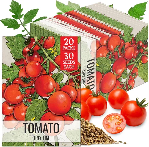 Vista 11 de Seed Needs Semillas de tomate para plantar tomates indeterminados de carne de res verdaderos, reliquia sin OMG y semillas de vegetales sin tratar