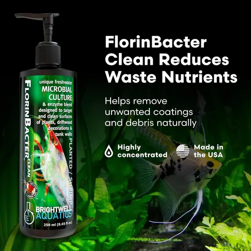 Vista 2 de Brightwell Aquatics FlorinBacter Clean (seguro para camarones), mezcla única de cultivo y enzimas de agua dulce diseñada para apuntar y limpiar