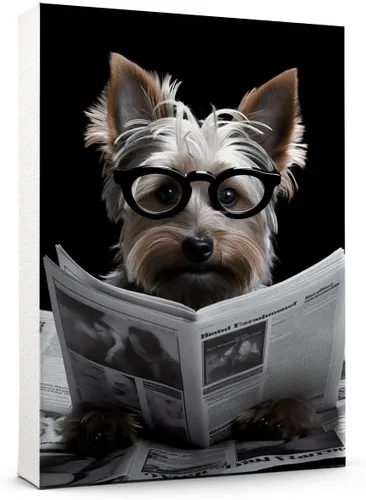 Vista 82 de Thuan Affenpinscher - Póster de lienzo con tus fotos, arte de pared para decoración del hogar, regalo conmemorativo para amantes de las mascotas