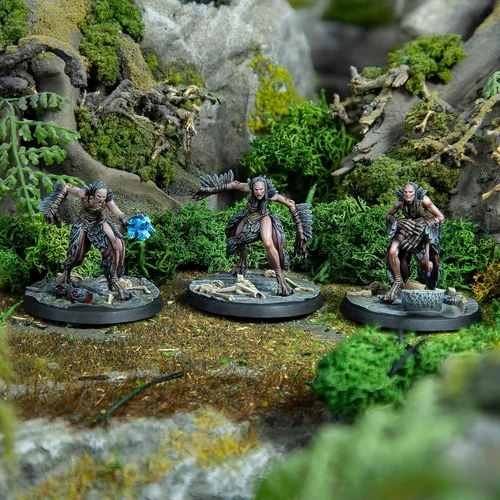 Vista 3 de Modiphius Entretenimiento: The Elder Scrolls: Call to Arms: Hagraven Coven - 3 figuras, 1.260 in Unpainted Resin RPG Miniatures, Bases escénicas