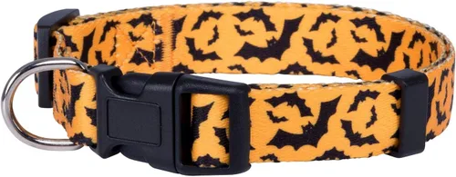 Vista 20 de Native Pup Collar de Perro con Bandera Americana - Rojo, Blanco y Azul - Collares Patrióticos para el 4 de Julio, EE.UU. - Ajustable para Perros