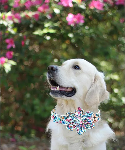 Vista 12 de Collar de perro Lionheart Glory, collar de perro rosa con flor, lindo collar para mascotas con patrón floral ajustable para perros pequeños Rosado
