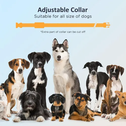 Vista 7 de PATPET Collar de entrenamiento para perros con control remoto, IPX7 impermeable, collar de choque para perros, 3 modos de entrenamiento, vibración