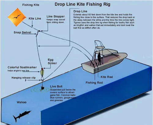 Vista 2 de Marcadores de línea de pesca Tigress Kite, 3 incluidos