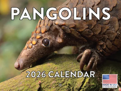Vista 28 de Calendario mensual de pared de alpaca 2025 Fabricado en Estados Unidos