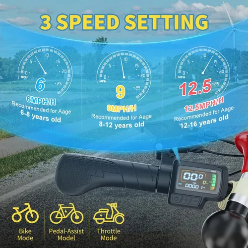 Vista 3 de NAIZEA Bicicleta eléctrica para niños, triciclo de 16 pulgadas para niños y niñas de 6 a 12 años, bicicleta eléctrica para niños de 250 W, bicicleta