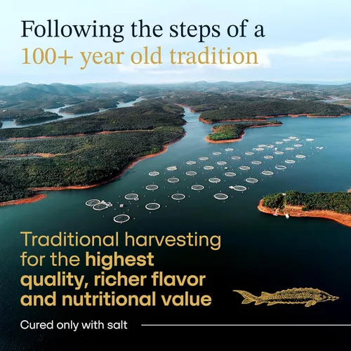 Vista 4 de BESTER CAVIAR Caviar de esturión Osetra prémium – Huevas negras de Malossol Ossetra cosechadas tradicionalmente con cuchara de nácar – Lata