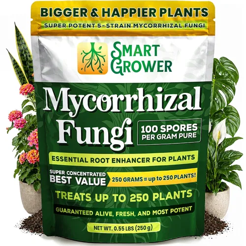 Vista 9 de Potenciador de raíces de hongos micorrízicos orgánicos para plantas, súper potente 100 esporas por gramo, mezcla de 5 cepas, resultados rápidos