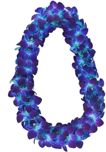 Vista 6 de Flores de orquídea frescas Miami OrchidClub USA Sunne Tropical en suelto, decoración para comida y bebida (100 AZUL PURPURA)
