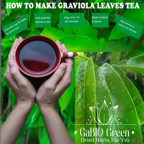 Vista 4 de Guanábana Graviola hojas Premium (+60 tazas) +180 hojas aprox, Big Bag, Hojas de guanabana, té Guanábana, Hierbas secas enteras,. (3 oz)+180 hojas