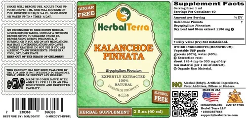 Vista 2 de Herbal Terra LLC Kalanchoe Pinnata (Bryophyllum Pinnatum) Extracto líquido sin alcohol de hojas secas y tallos de glicerita, 2 onzas líquidas