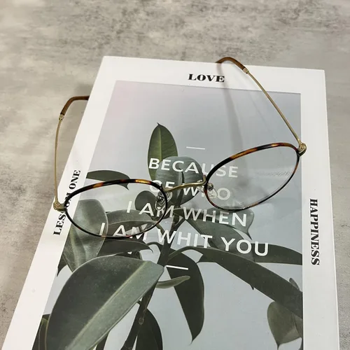 Vista 4 de Vintage Round Clear Glasses for Women and Men, Non-prescription Lens with Spring Temple Fashion Metal Frame LA024