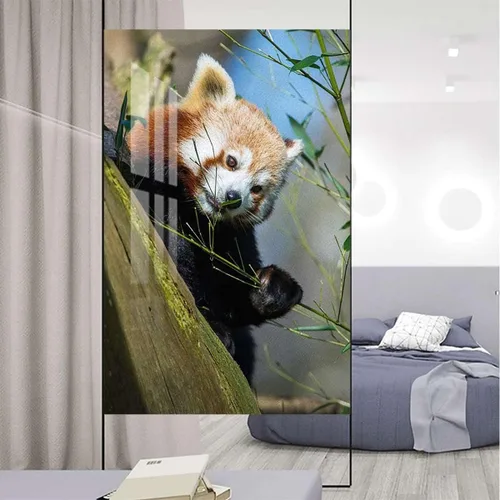 Vista 2 de Película de vidrio esmerilado marrón y verde para ventanas y puertas, actividad de panda África, película ecológica para ventana de fotos, bloqueo