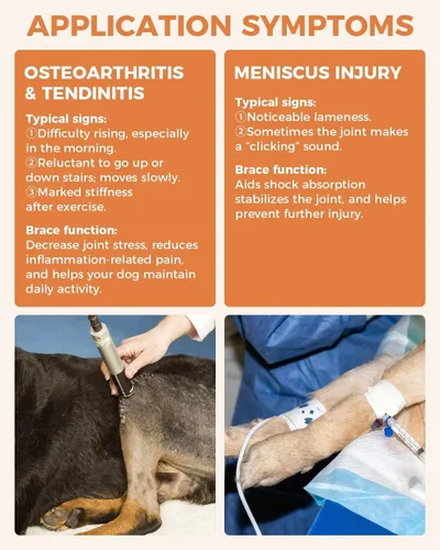 Vista 8 de Rodillera para Perro para ACL/CCL Desgarrado Pata Trasera, Soporte Ajustable con Suficiente Envoltura y Soporte y Luxación de Rótula, Soporte