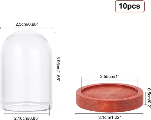 Vista 3 de NBEADS 10 juegos de mini cúpula de cristal de flor eterna, vitrina de vidrio transparente con 2 colores base de madera para el día de San Valentín