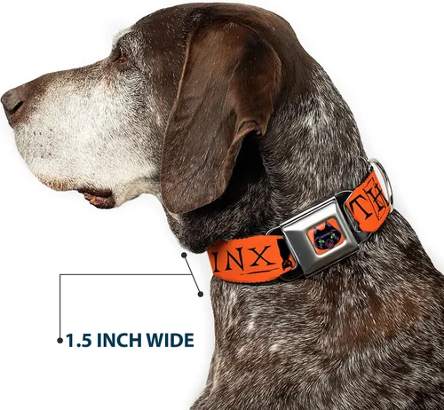Vista 7 de Buckle-Down Collar de perro Hebilla de cinturón de seguridad Hocus Pocus Thackery Binx Cat Silhouette Naranja Negro, 1 pulgada de ancho - Se adapta