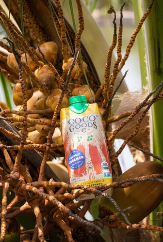 Vista 6 de CocoGoods Co. Crema de café de coco orgánico de origen único, vainilla francesa endulzada, 16.9 onzas líquidas, paquete de 12, Tetra Pak