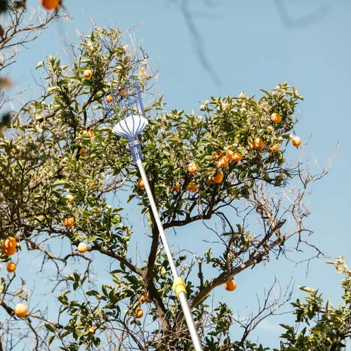 Vista 5 de 1 herramienta multifuncional para cosechadora de frutas ligera con diseño desmontable para Apple eficiente para trabajadores de huertos