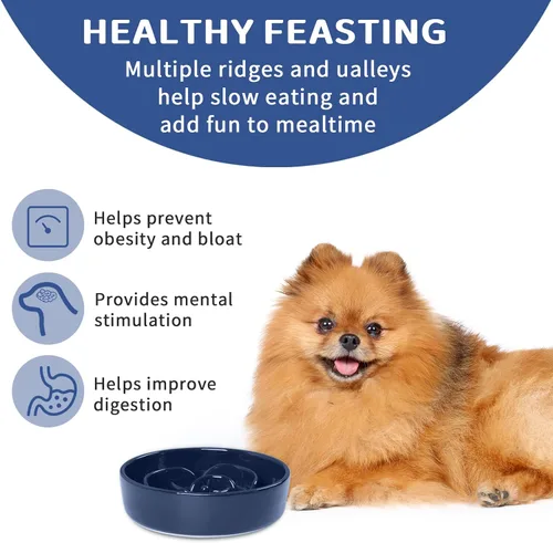Vista 6 de Cuencos para perros de alimentación lenta para razas pequeñas Azul