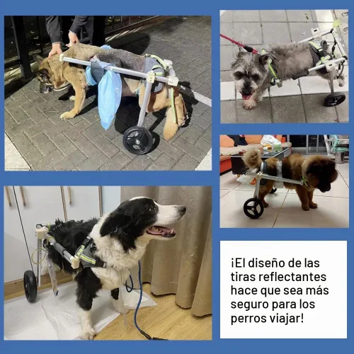 Vista 6 de Wheels Silla de ruedas para perro, silla de ruedas para patas traseras, carrito ajustable para perro, sillas de ruedas para mascotas/perros