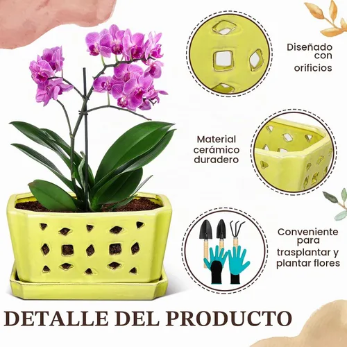 Vista 3 de Teenyyou - Maceta de orquídea de cerámica de 9.5 pulgadas con platillo para Amarillo