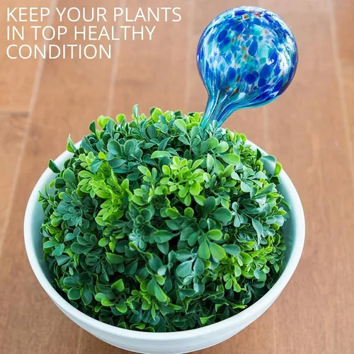 Vista 5 de 2 Globos de riego de vidrio grandes y 3 pequeños - Dispositivos de riego de plantas - Bombillas de riego de plantas - Picos de riego automático 5