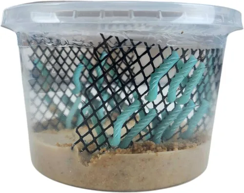 Vista 9 de Josh's Frogs Hornworms Habitat Cup (taza de 12 unidades)