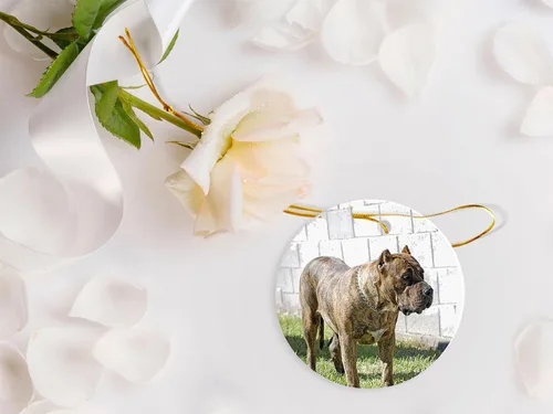 Vista 5 de Perro De Presa Canario - Adorno de cerámica – Decoraciones navideñas – Adorno de cerámica circular de 3 pulgadas