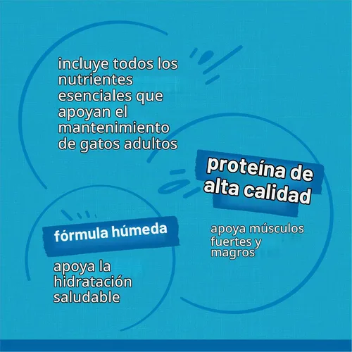 Vista 8 de Purina Friskies - Paquete variado de comida húmeda para gatos Fish-A-Licious con salsa extra, filetes prime y tesoros sabrosos - (Paquete de 32)