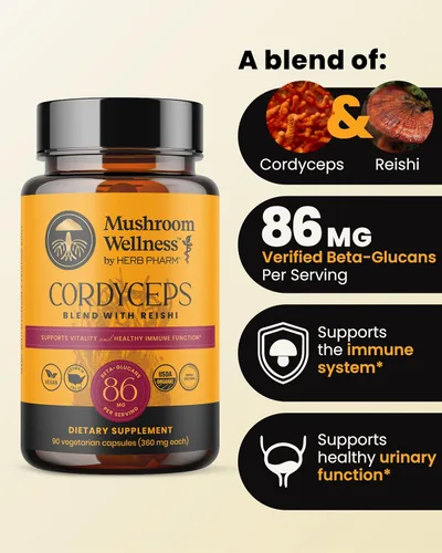 Vista 2 de Mezcla Cordyceps de bienestar de hongos con cápsulas Reishi: cápsulas orgánicas de hongos, suplemento en polvo de hongos, apoya el sistema