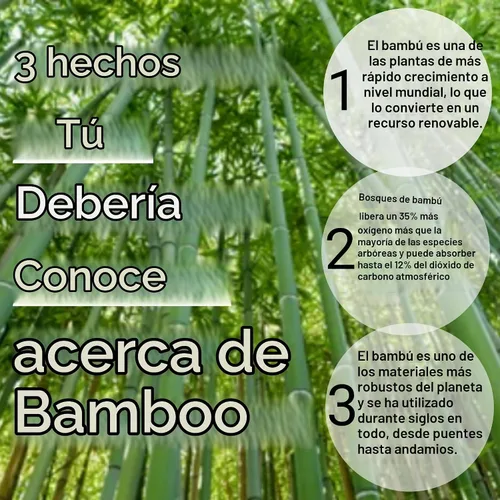 Vista 8 de Hammont Tabla de cortar redonda, hecha de madera de bambú con ranuras para jugos, ideal para embutidos, tabla de cortar carne, 12 pulgadas