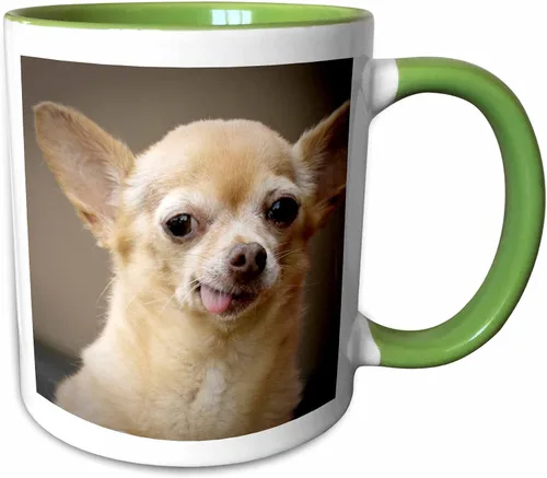Vista 12 de 3dRose Taza de café, tamaño – 15 oz – Perro Chihuahua sin dientes, Santa Fe, Nuevo México – US32 JMR0502 – Julien McRoberts Dogs – divertido regalo
