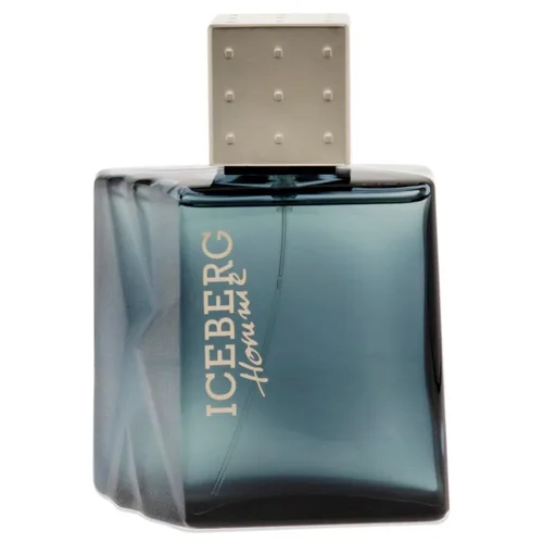Vista 2 de Iceberg Homme - Fragancia aromática Fougere para el caballero clásico, colonia EDT limpia y refrescante para hombres, notas cítricas frescas