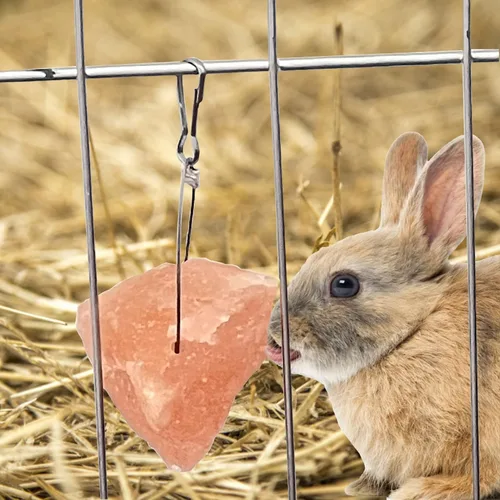 Vista 4 de PINVNBY Bloques de sal para conejos, 4 piezas de mascotas pequeñas del Himalaya lamen sal bloque de sal sales minerales naturales con gancho